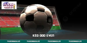 Kèo Odd Even: Lẻ Hay Chẵn – Đâu Là Cửa Đáng Xuống Tiền?